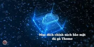 Bảo mật thông tin đá gà trực tiếp tại RRC